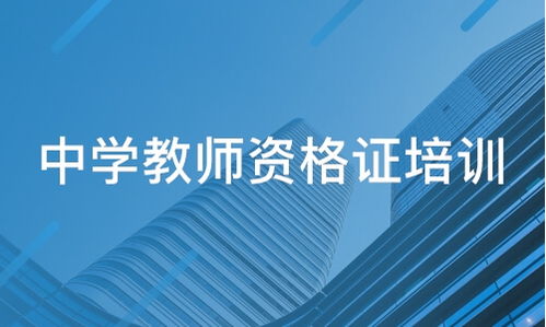 百惠通教育與淘學(xué)培訓(xùn) 教育信息咨詢服務(wù)深度解析